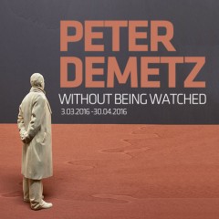Peter Demetz/Without Being Watched 03.03.2016 - 30.04.2016